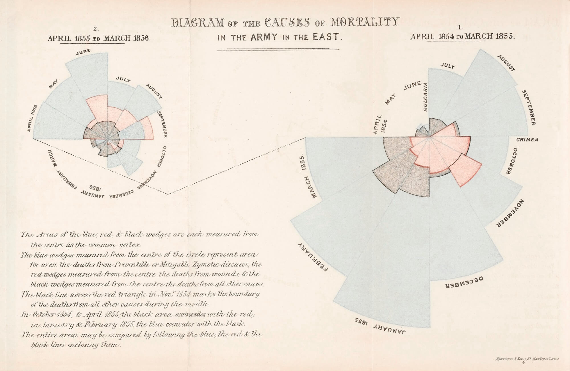 florence-nightingale-data-analysis.jpeg